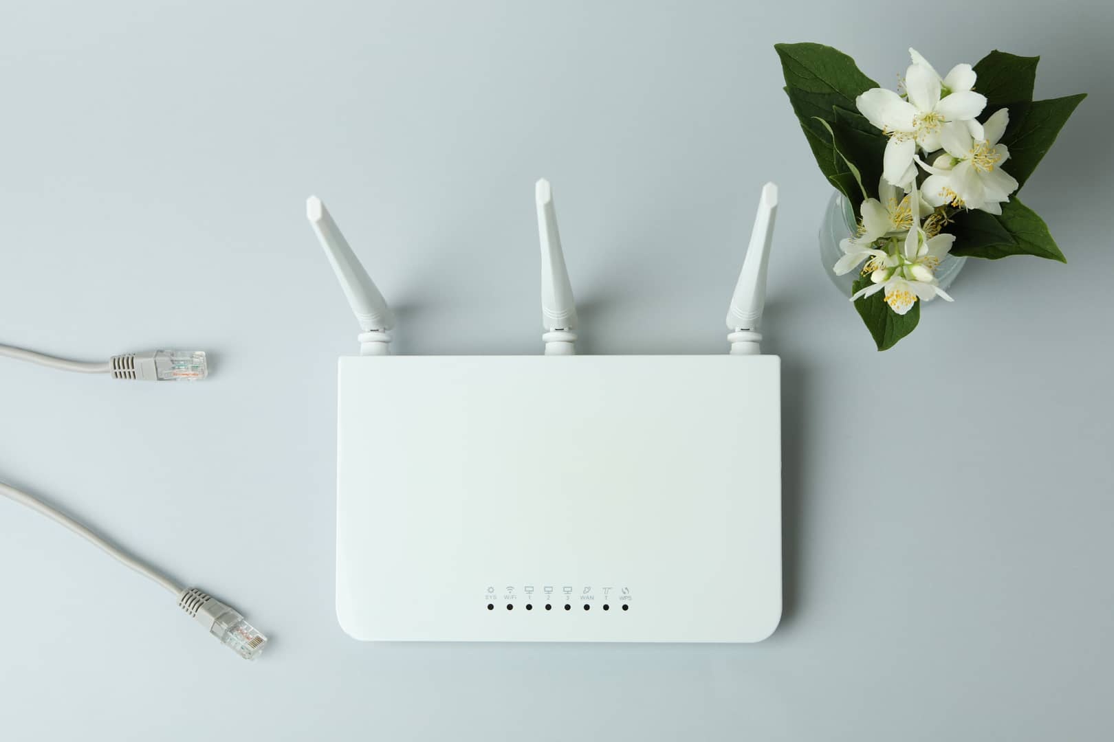 wi-fi-router-and-flowers-on-gray-background